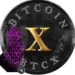 BitcoinX币行情走势图